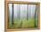 Oak Forest in Fog-James Randklev-Framed Premier Image Canvas