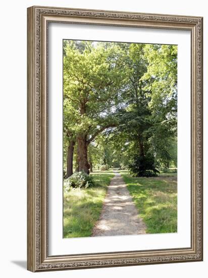 Oak Forest-Carlos Dominguez-Framed Photographic Print