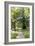 Oak Forest-Carlos Dominguez-Framed Photographic Print