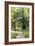 Oak Forest-Carlos Dominguez-Framed Photographic Print