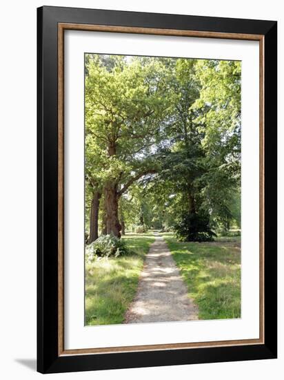 Oak Forest-Carlos Dominguez-Framed Photographic Print