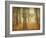 Oak Grove in Fog-William Guion-Framed Photographic Print