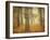 Oak Grove in Fog-William Guion-Framed Photographic Print