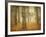 Oak Grove in Fog-William Guion-Framed Photographic Print