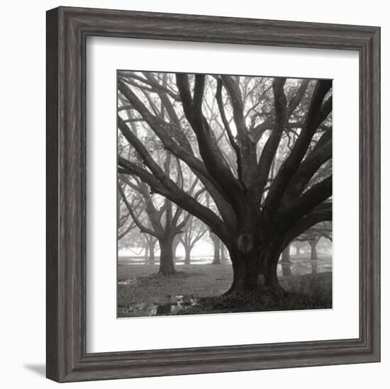 Oak Grove, Winter-William Guion-Framed Art Print