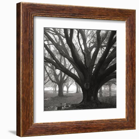 Oak Grove, Winter-William Guion-Framed Art Print