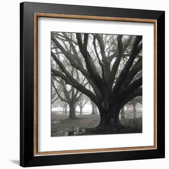 Oak Grove, Winter-William Guion-Framed Art Print