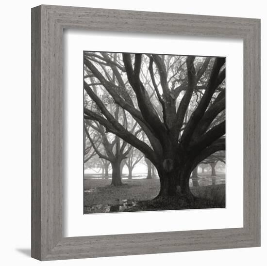 Oak Grove, Winter-William Guion-Framed Art Print