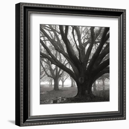 Oak Grove, Winter-William Guion-Framed Art Print