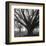 Oak Grove, Winter-William Guion-Framed Art Print