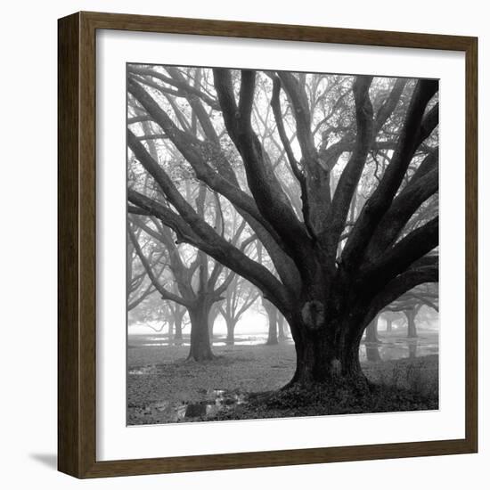 Oak Grove, Winter-William Guion-Framed Premium Giclee Print