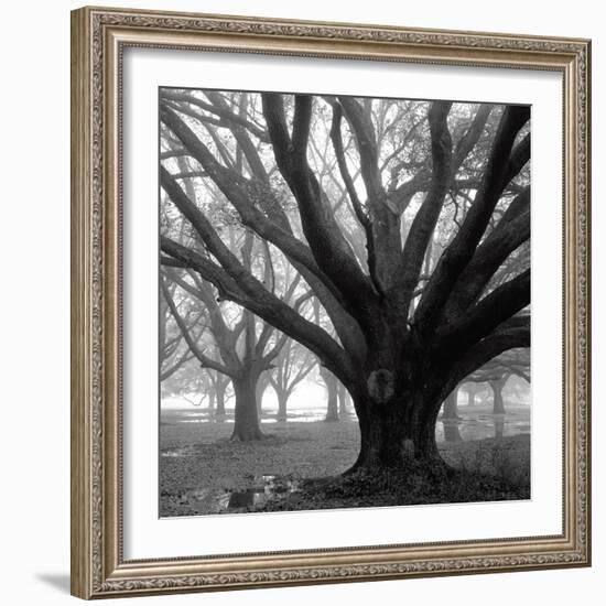 Oak Grove, Winter-William Guion-Framed Art Print