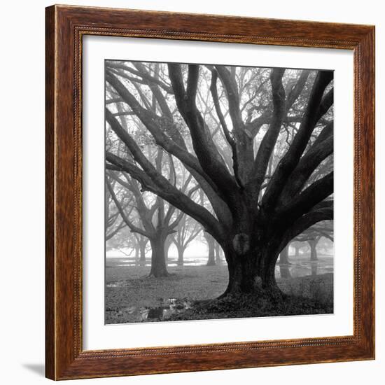 Oak Grove, Winter-William Guion-Framed Art Print