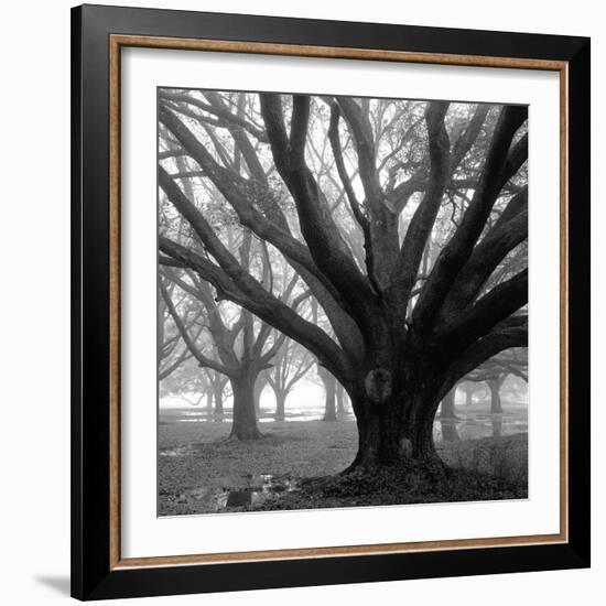 Oak Grove, Winter-William Guion-Framed Art Print