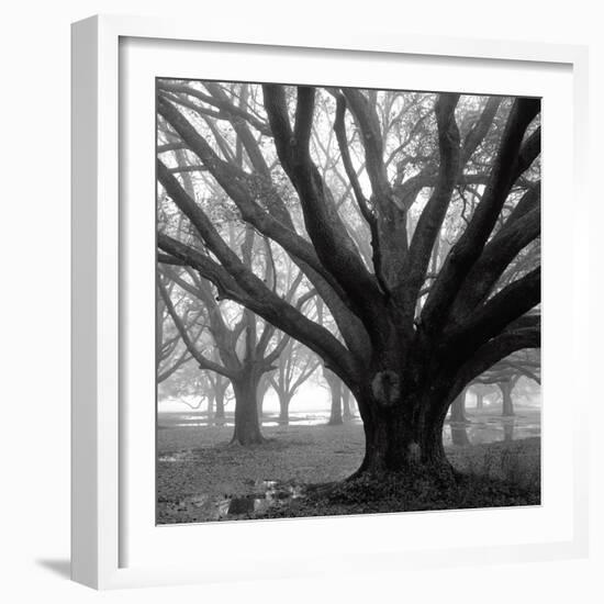 Oak Grove, Winter-William Guion-Framed Art Print