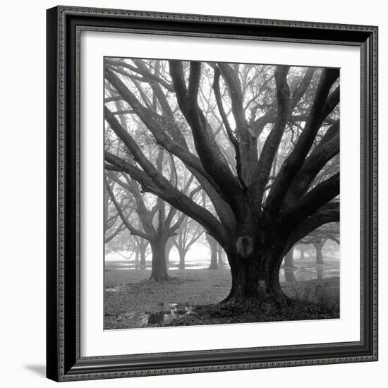 Oak Grove, Winter-William Guion-Framed Art Print