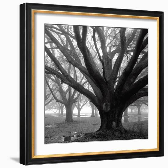 Oak Grove, Winter-William Guion-Framed Art Print