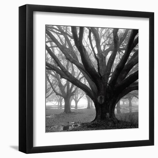 Oak Grove, Winter-William Guion-Framed Art Print