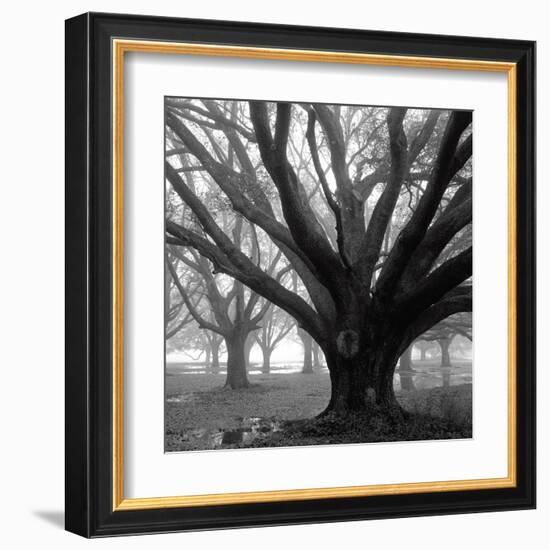 Oak Grove, Winter-William Guion-Framed Art Print