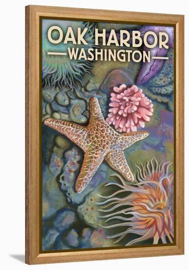 Oak Harbor, WA - Tidepool-Lantern Press-Framed Stretched Canvas