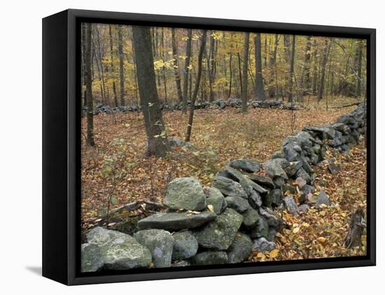 Oak-Hickory Forest in Litchfield Hills, Kent, Connecticut, USA-Jerry & Marcy Monkman-Framed Premier Image Canvas