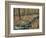 Oak-Hickory Forest in Litchfield Hills, Kent, Connecticut, USA-Jerry & Marcy Monkman-Framed Photographic Print