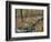 Oak-Hickory Forest in Litchfield Hills, Kent, Connecticut, USA-Jerry & Marcy Monkman-Framed Photographic Print