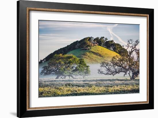 Oak Hills and Mist, Petaluma Backroads, Sonoma County-Vincent James-Framed Photographic Print