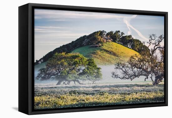 Oak Hills and Mist, Petaluma Backroads, Sonoma County-Vincent James-Framed Premier Image Canvas