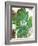 Oak Hydrangea-Ann Tygett Jones Studio-Framed Giclee Print