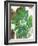 Oak Hydrangea-Ann Tygett Jones Studio-Framed Giclee Print