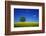 Oak in a Blossoming Rape Field Near Ottendorf-Uwe Steffens-Framed Photographic Print