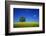 Oak in a Blossoming Rape Field Near Ottendorf-Uwe Steffens-Framed Photographic Print