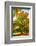 Oak in autumn-Philippe Sainte-Laudy-Framed Photographic Print