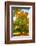 Oak in autumn-Philippe Sainte-Laudy-Framed Photographic Print