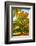 Oak in autumn-Philippe Sainte-Laudy-Framed Photographic Print