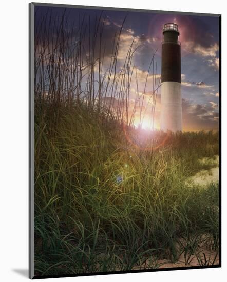 Oak Island II-Steve Hunziker-Mounted Art Print