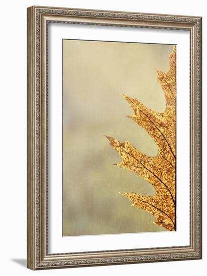Oak Leaf I-Kathy Mahan-Framed Photographic Print