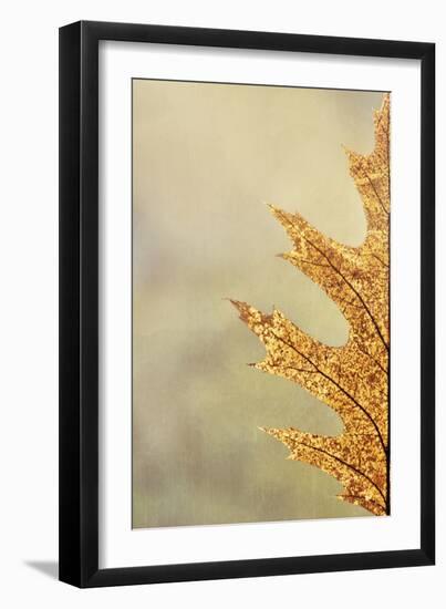 Oak Leaf I-Kathy Mahan-Framed Photographic Print