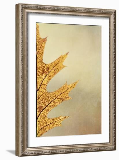 Oak Leaf II-Kathy Mahan-Framed Photographic Print