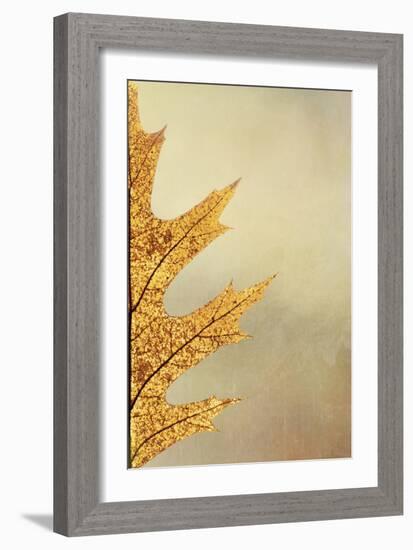 Oak Leaf II-Kathy Mahan-Framed Photographic Print