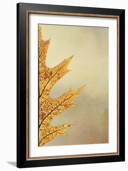 Oak Leaf II-Kathy Mahan-Framed Photographic Print