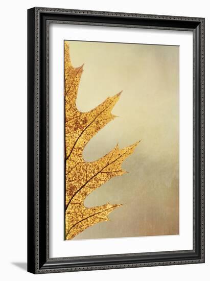 Oak Leaf II-Kathy Mahan-Framed Photographic Print