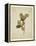 Oak leaf, many with stems on yellowed paper, beige-Axel Killian-Framed Premier Image Canvas