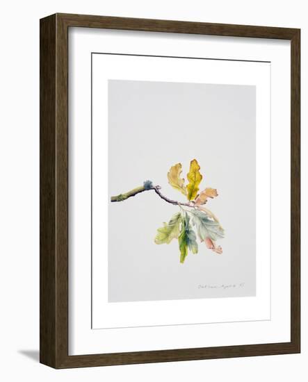 Oak Leaves, 2001-Rebecca John-Framed Giclee Print