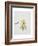 Oak Leaves, 2001-Rebecca John-Framed Giclee Print