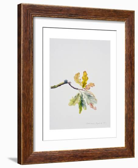 Oak Leaves, 2001-Rebecca John-Framed Giclee Print