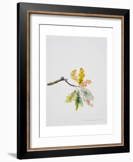 Oak Leaves, 2001-Rebecca John-Framed Giclee Print