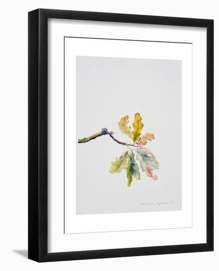 Oak Leaves, 2001-Rebecca John-Framed Giclee Print