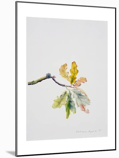 Oak Leaves, 2001-Rebecca John-Mounted Giclee Print